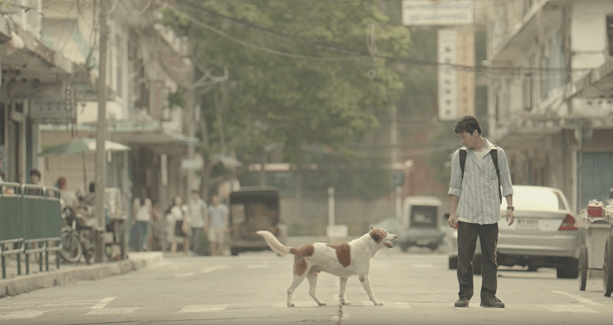 Bí Mật Của Những Viral Video, TVC Quảng Cáo Thái Lan